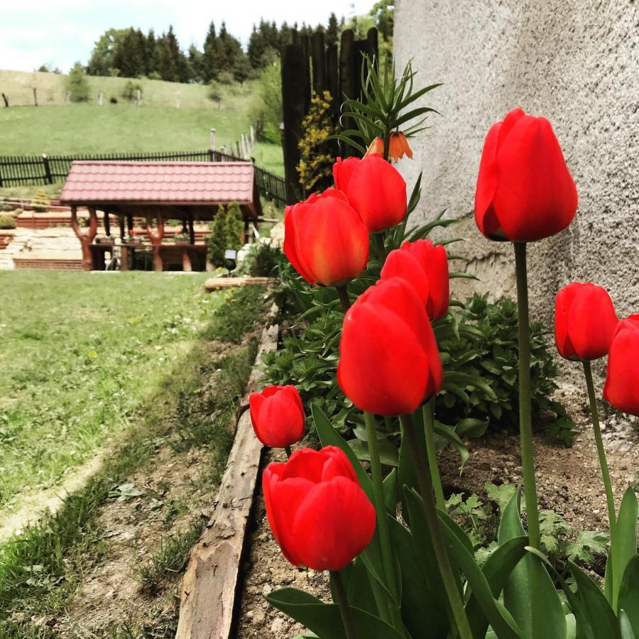 Apartman Jedlicka Telgárt 外观 照片